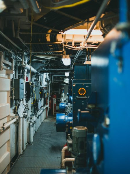 pexels-theshuttervision-10290629